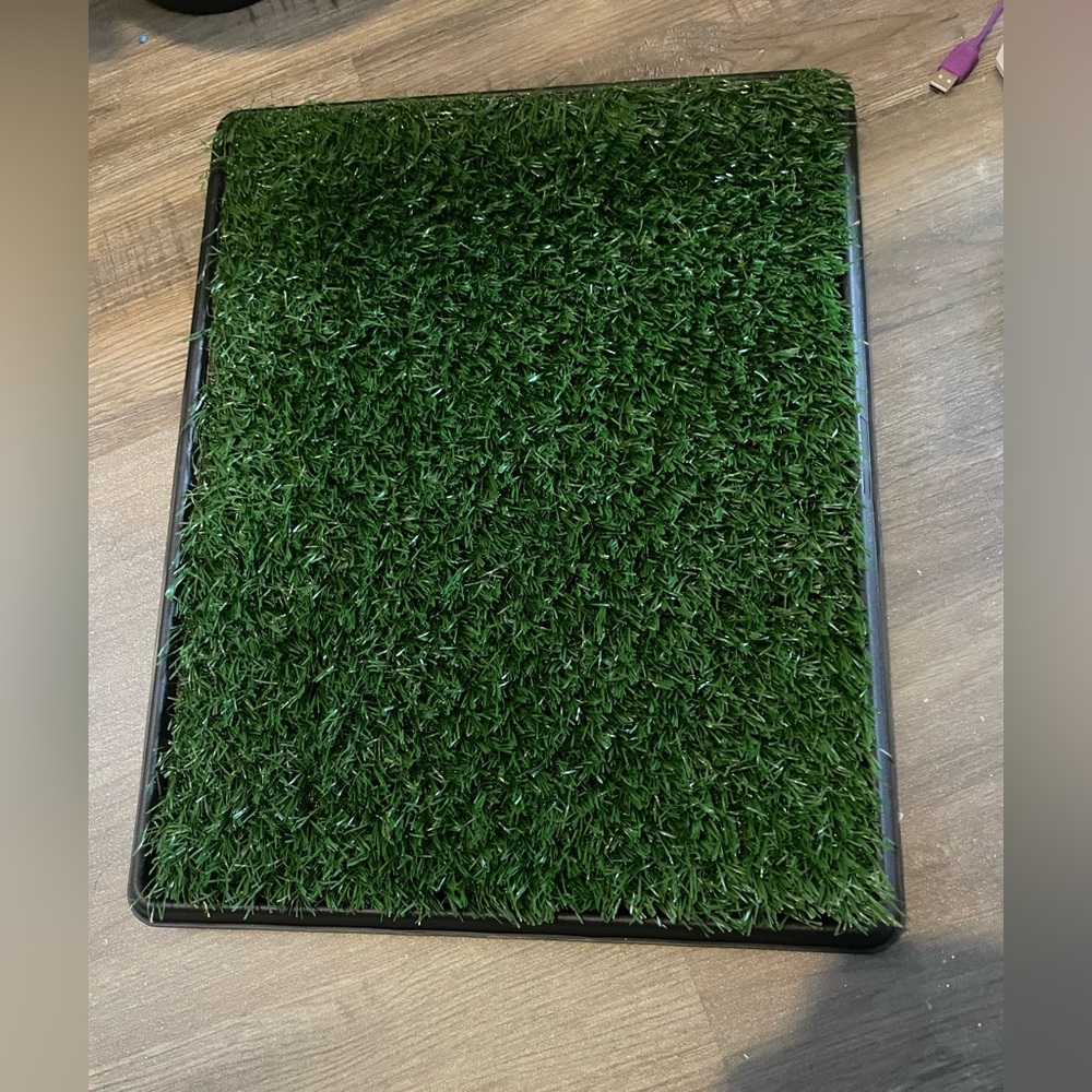 Grass mat/pad for pet